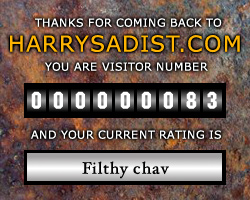 Visitor rating: 13